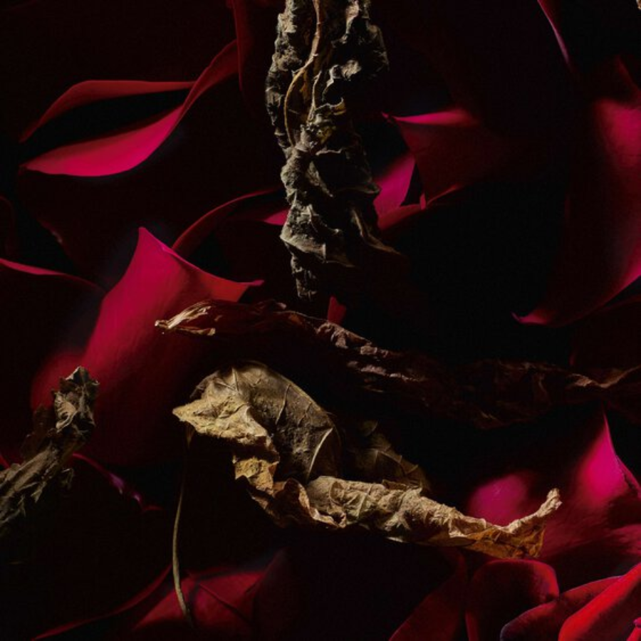 Le Vestiaire Des Parfums Rouge Velours