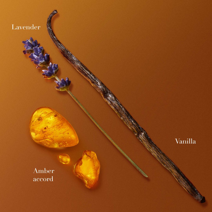 Stronger With You Amber Eau De Parfum