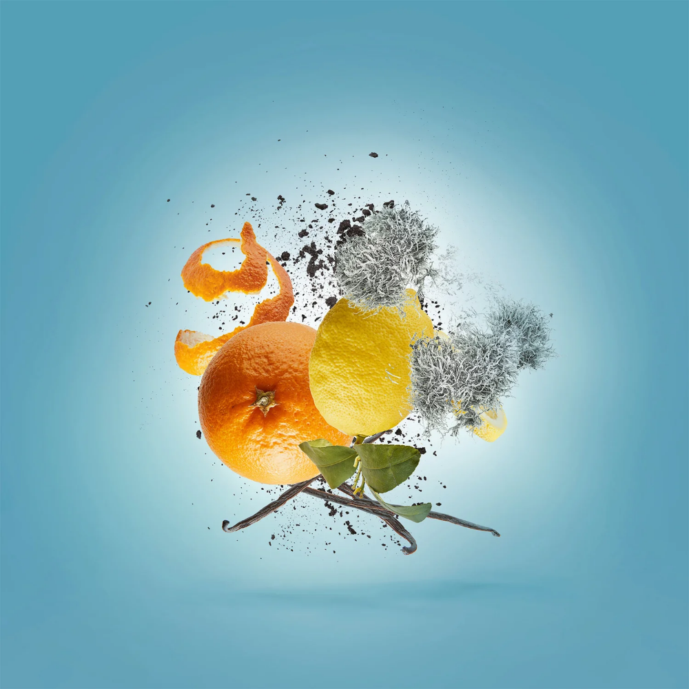 Xerjoff Erba Pura  100ml